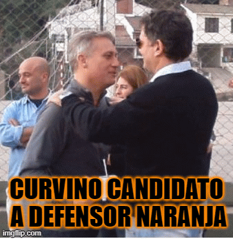 aviles-curvino-mowzset | CURVINO CANDIDATO
 A DEFENSOR NARANJA | image tagged in gifs | made w/ Imgflip images-to-gif maker