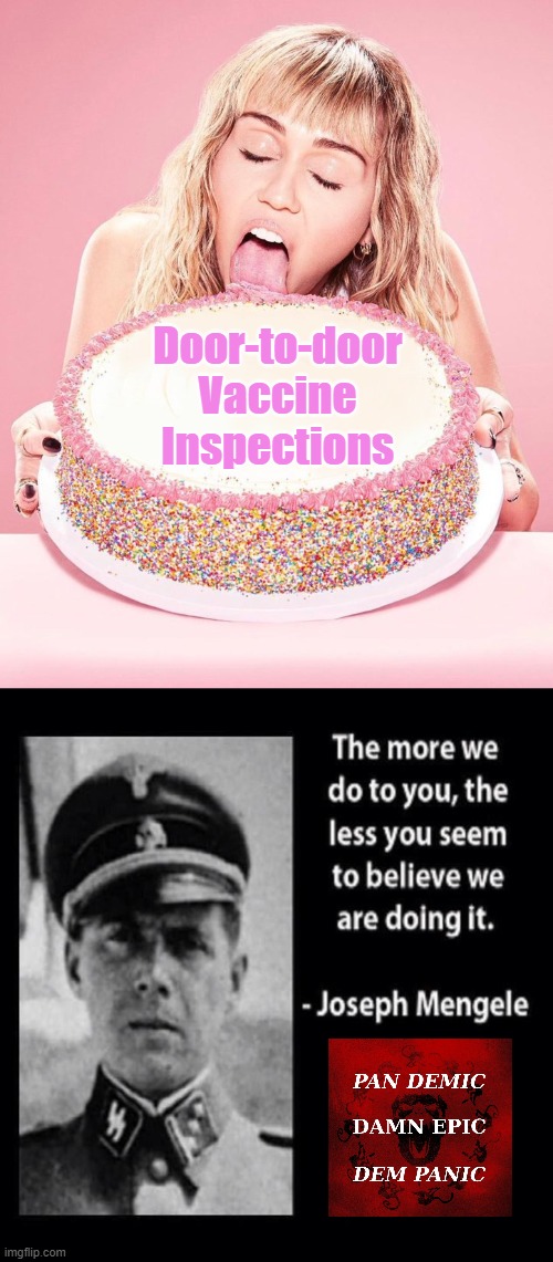 Pandemic, Dem Panic, Damn Epic | Door-to-door Vaccine Inspections | image tagged in miley cyrus cake | made w/ Imgflip meme maker