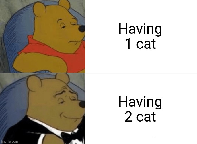 How very cor unum via una | Having 1 cat; Having 2 cat | image tagged in memes,tuxedo winnie the pooh | made w/ Imgflip meme maker