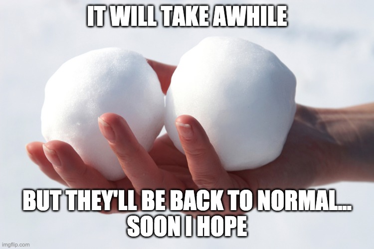 IT WILL TAKE AWHILE BUT THEY'LL BE BACK TO NORMAL...
SOON I HOPE | made w/ Imgflip meme maker