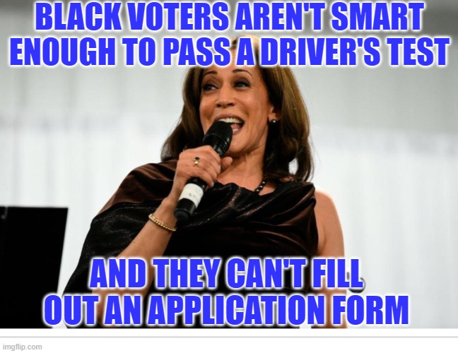 Kamala Harris | BLACK VOTERS AREN'T SMART ENOUGH TO PASS A DRIVER'S TEST; AND THEY CAN'T FILL OUT AN APPLICATION FORM | image tagged in kamala harris | made w/ Imgflip meme maker