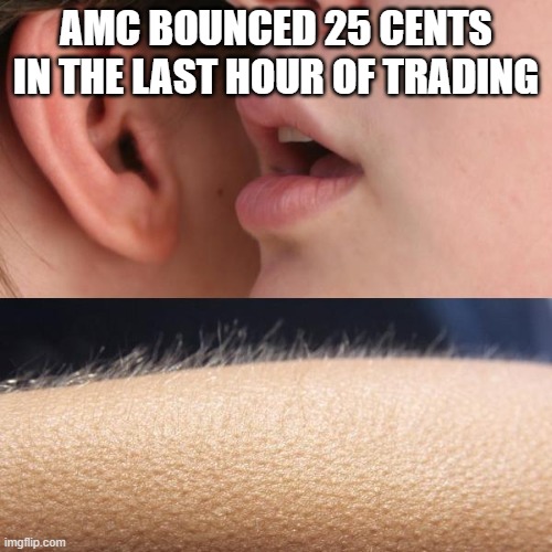 Don't tease me like that, AMC! | AMC BOUNCED 25 CENTS IN THE LAST HOUR OF TRADING | image tagged in whisper and goosebumps | made w/ Imgflip meme maker