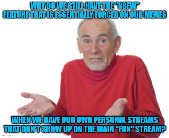 If you're browsing memes at work, I doubt it matters to anyone if you come across a cuss word. | WHY DO WE STILL HAVE THE "NSFW" FEATURE THAT IS ESSENTIALLY FORCED ON OUR MEMES; WHEN WE HAVE OUR OWN PERSONAL STREAMS THAT DON'T SHOW UP ON THE MAIN "FUN" STREAM? | image tagged in guess i'll die,imgflip | made w/ Imgflip meme maker