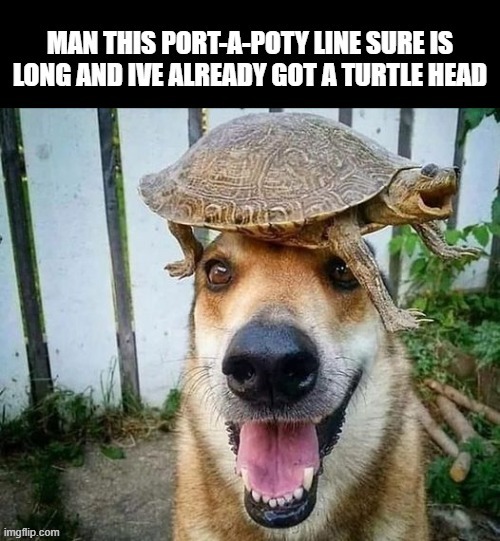 turtle head | image tagged in turtle head,bad pun dog | made w/ Imgflip meme maker