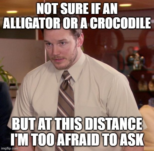 Afraid To Ask Andy Meme | NOT SURE IF AN ALLIGATOR OR A CROCODILE; BUT AT THIS DISTANCE I'M TOO AFRAID TO ASK | image tagged in memes,afraid to ask andy,AdviceAnimals | made w/ Imgflip meme maker