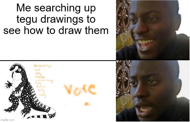 No i am not saying furrys suck. just why does he have to be a vore | Me searching up tegu drawings to see how to draw them | image tagged in disappointed black guy | made w/ Imgflip meme maker