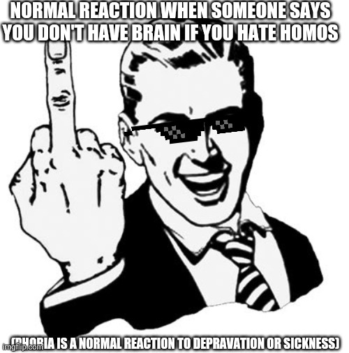 1950s Middle Finger |  NORMAL REACTION WHEN SOMEONE SAYS YOU DON'T HAVE BRAIN IF YOU HATE HOMOS; (PHOBIA IS A NORMAL REACTION TO DEPRAVATION OR SICKNESS) | image tagged in memes,1950s middle finger | made w/ Imgflip meme maker