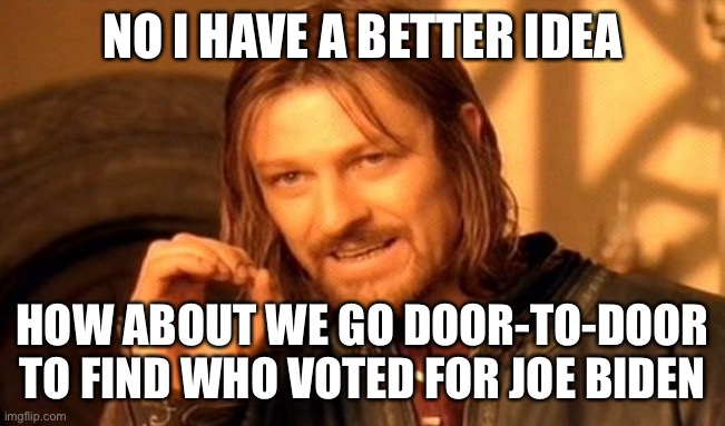 One Does Not Simply Meme | NO I HAVE A BETTER IDEA; HOW ABOUT WE GO DOOR-TO-DOOR TO FIND WHO VOTED FOR JOE BIDEN | image tagged in memes,one does not simply | made w/ Imgflip meme maker