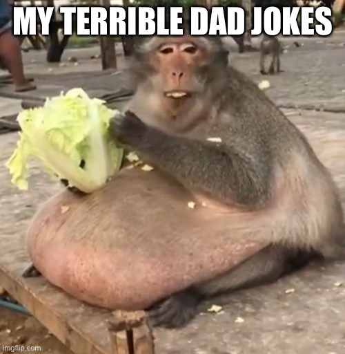 Fat Monkey | MY TERRIBLE DAD JOKES | image tagged in fat monkey | made w/ Imgflip meme maker