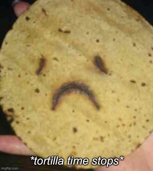 Follow link for interesting queso idea | *tortilla time stops* | image tagged in sad tortilla | made w/ Imgflip meme maker