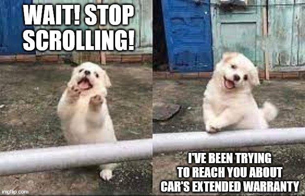 Wait! | WAIT! STOP SCROLLING! I'VE BEEN TRYING TO REACH YOU ABOUT CAR'S EXTENDED WARRANTY | image tagged in wait stop scrolling | made w/ Imgflip meme maker