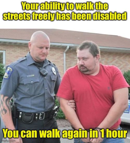 If ImgFlip ran the police dept | Your ability to walk the streets freely has been disabled You can walk again in 1 hour | image tagged in man get arrested,imgflip,moderators | made w/ Imgflip meme maker
