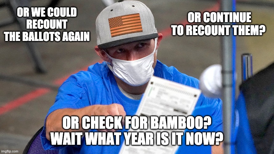 OR WE COULD RECOUNT THE BALLOTS AGAIN OR CHECK FOR BAMBOO? WAIT WHAT YEAR IS IT NOW? OR CONTINUE TO RECOUNT THEM? | made w/ Imgflip meme maker