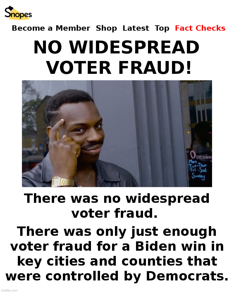 Snopes: No Widespread Voter Fraud! | image tagged in snopes,voter fraud,dead voters,arizona,detroit,philadelphia | made w/ Imgflip meme maker