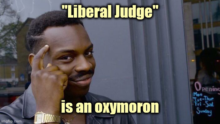 Roll Safe Think About It Meme | "Liberal Judge" is an oxymoron | image tagged in memes,roll safe think about it | made w/ Imgflip meme maker