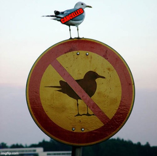 Bird on no bird sign | CANCELLED | image tagged in bird on no bird sign | made w/ Imgflip meme maker