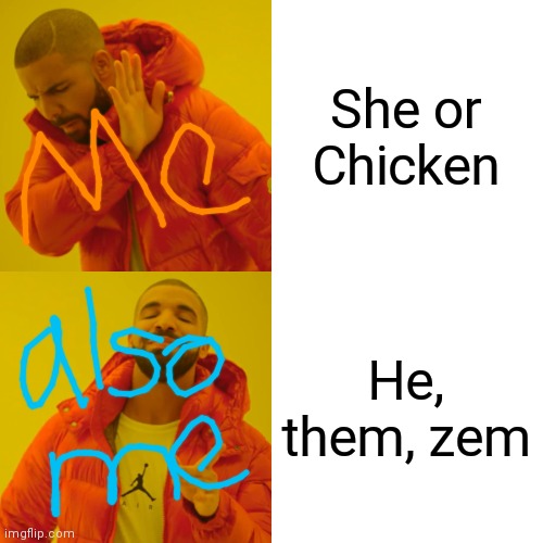 Pronouns, I guess. | She or Chicken; He, them, zem | image tagged in memes,drake hotline bling | made w/ Imgflip meme maker