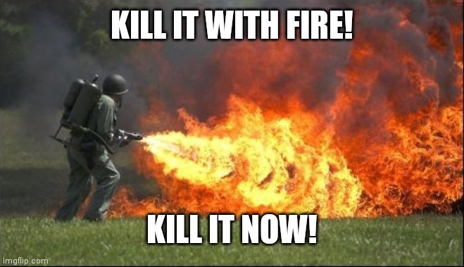 Kill it with fire | KILL IT WITH FIRE! KILL IT NOW! | image tagged in kill it with fire | made w/ Imgflip meme maker