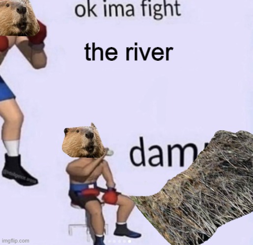 bad meme go brr | the river | image tagged in damn got hands | made w/ Imgflip meme maker
