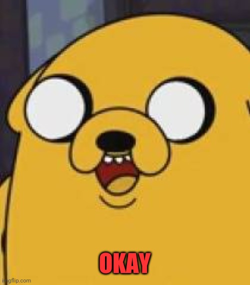 Jake The Dog Yeah Okay | OKAY | image tagged in jake the dog yeah okay | made w/ Imgflip meme maker