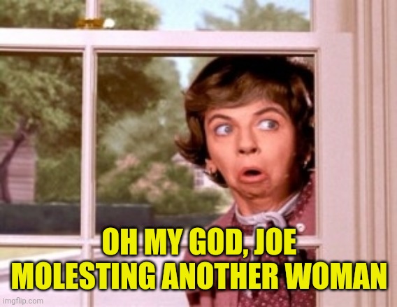 nosey neighbor | OH MY GOD, JOE MOLESTING ANOTHER WOMAN | image tagged in nosey neighbor | made w/ Imgflip meme maker