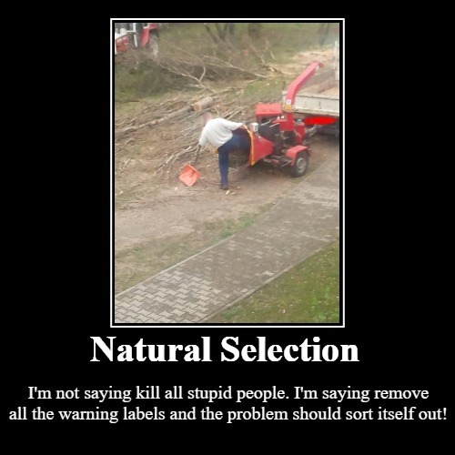 Natural Selection | image tagged in natural selection,stupid people,stupid people be like,stupid liberals,liberalism is a mental illness,never go full retard | made w/ Imgflip meme maker