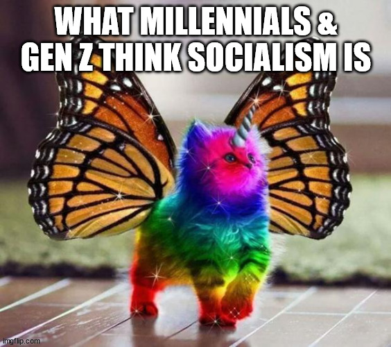 Rainbow Kitten | WHAT MILLENNIALS & GEN Z THINK SOCIALISM IS | image tagged in rainbow kitten | made w/ Imgflip meme maker