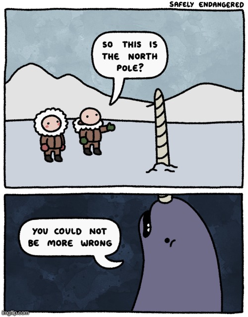 the north pole | image tagged in comics/cartoons,north pole,narwhal | made w/ Imgflip meme maker