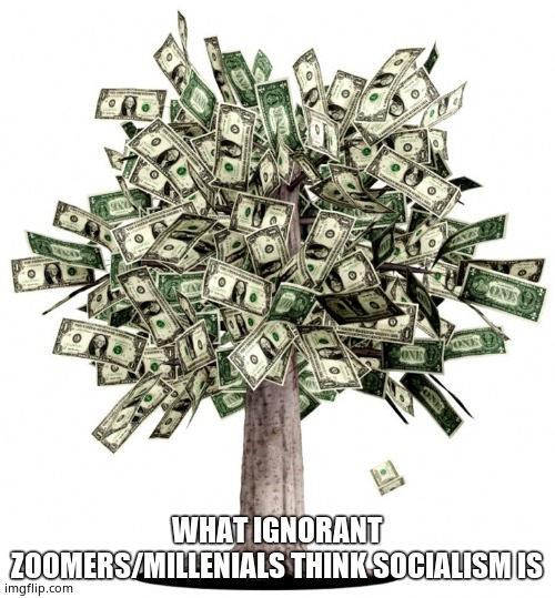 Money Tree | WHAT IGNORANT ZOOMERS/MILLENIALS THINK SOCIALISM IS | image tagged in money tree | made w/ Imgflip meme maker