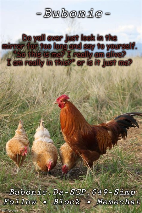 Bubonics Chicken temp (Thanks Nora!!) | Do yall ever just look in the mirror for too long and say to yourself. "So this is me? I really am alive? I am really in this?" or is it just me? | image tagged in bubonics chicken temp thanks nora | made w/ Imgflip meme maker
