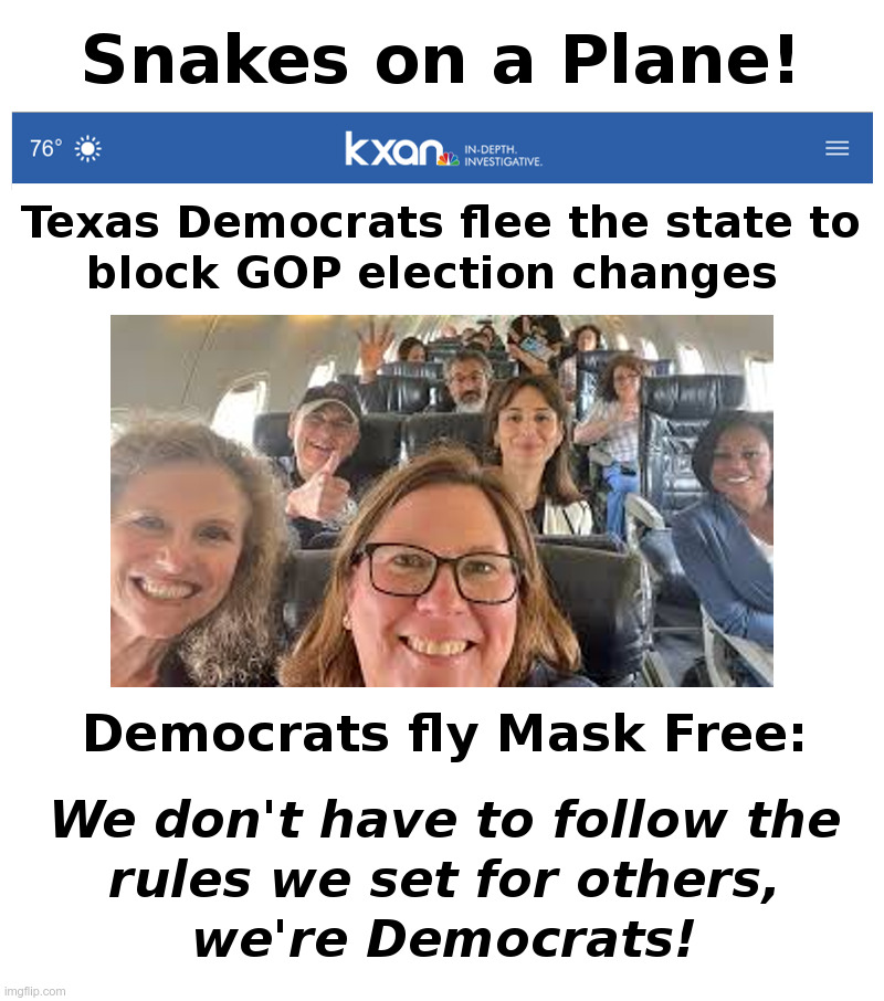 Democrats: Snakes on a Plane! | image tagged in democrats,wear a mask,unmasked,hypocrites,snakes on a plane | made w/ Imgflip meme maker