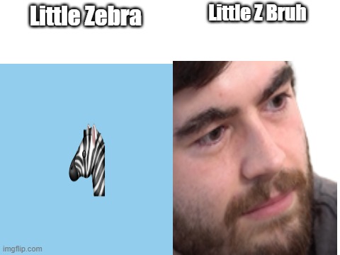 Little Z Bruh; Little Zebra | image tagged in memes | made w/ Imgflip meme maker