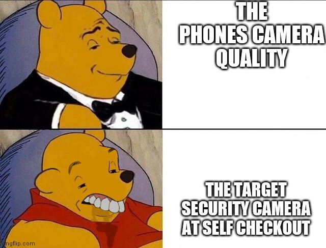 Winnie the Pooh | THE PHONES CAMERA QUALITY; THE TARGET SECURITY CAMERA AT SELF CHECKOUT | image tagged in winnie the pooh | made w/ Imgflip meme maker