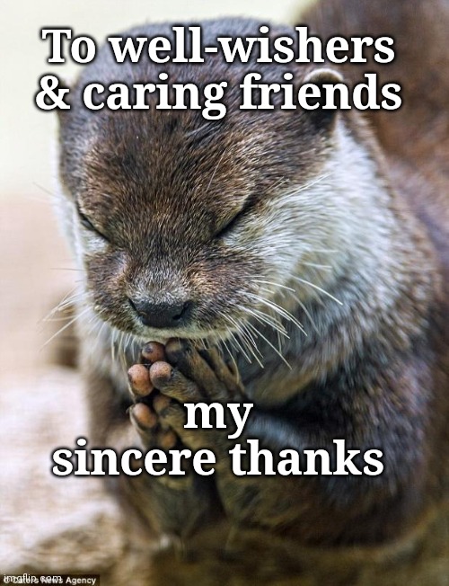 Almost recovered and back in the game, but in the meantime, thank-you! | To well-wishers & caring friends; my sincere thanks | image tagged in thank you lord otter,imgflip,thank you | made w/ Imgflip meme maker