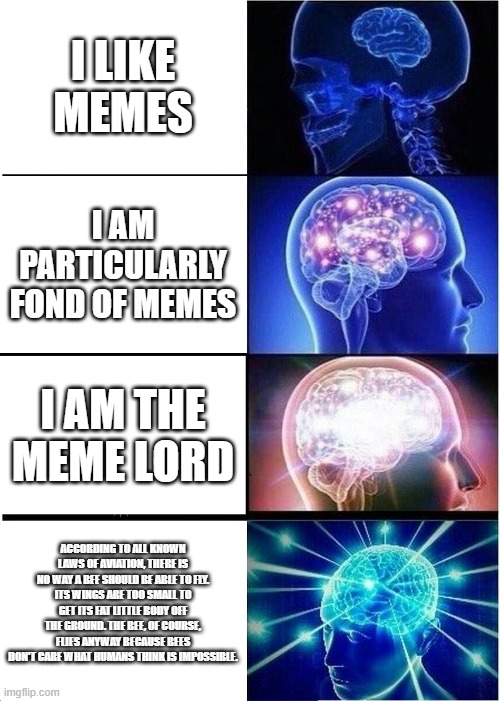 Expanding Brain Meme | I LIKE MEMES; I AM PARTICULARLY FOND OF MEMES; I AM THE MEME LORD; ACCORDING TO ALL KNOWN LAWS OF AVIATION, THERE IS NO WAY A BEE SHOULD BE ABLE TO FLY.
ITS WINGS ARE TOO SMALL TO GET ITS FAT LITTLE BODY OFF THE GROUND. THE BEE, OF COURSE, FLIES ANYWAY BECAUSE BEES DON'T CARE WHAT HUMANS THINK IS IMPOSSIBLE. | image tagged in memes,expanding brain | made w/ Imgflip meme maker