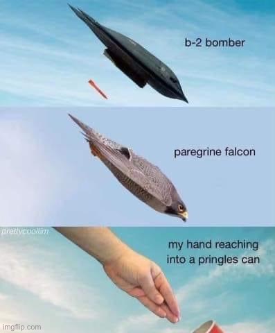 wot | image tagged in b-2 bomber pringles,repost,falcon,falcons,reposts,pringles | made w/ Imgflip meme maker