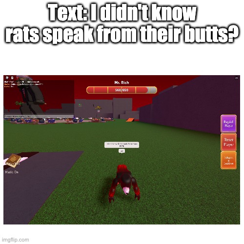 I didn't know rats speak from there's butts? | Text: I didn't know rats speak from their butts? | image tagged in rats,butt,weird | made w/ Imgflip meme maker