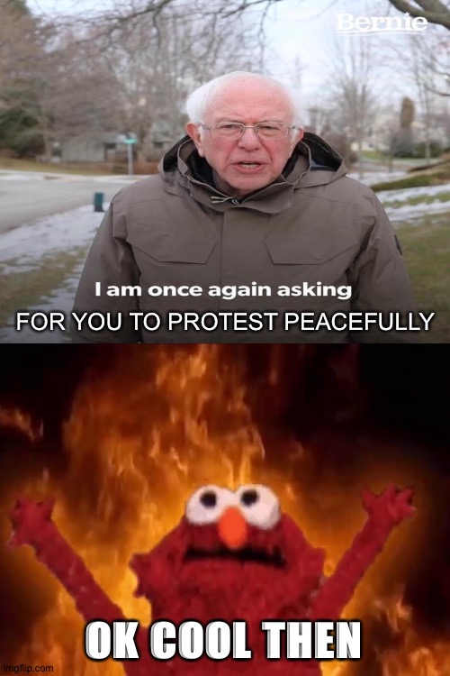 FOR YOU TO PROTEST PEACEFULLY OK COOL THEN | image tagged in blank white template | made w/ Imgflip meme maker