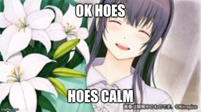 OK HOES; HOES CALM | made w/ Imgflip meme maker