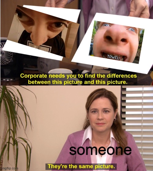 ;) | someone | image tagged in memes,they're the same picture | made w/ Imgflip meme maker