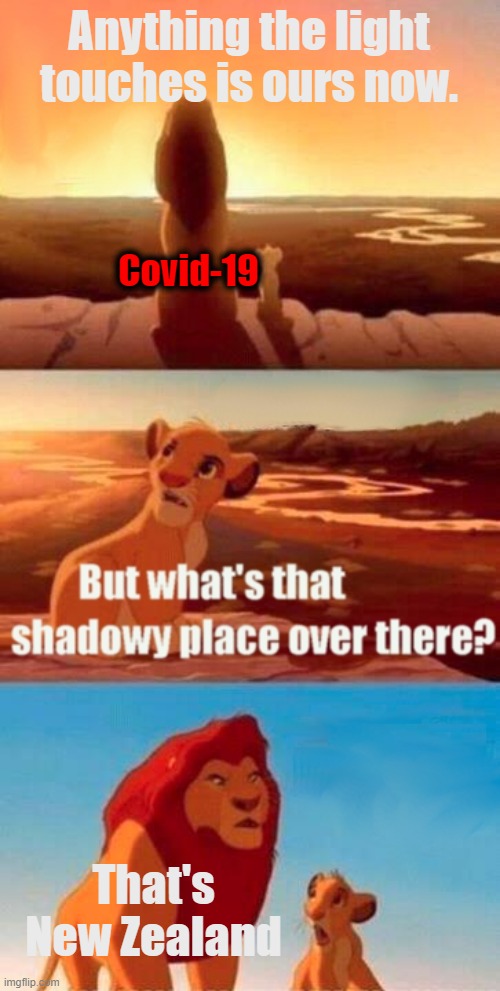 Simba Shadowy Place Meme | Anything the light touches is ours now. Covid-19; That's New Zealand | image tagged in memes,simba shadowy place | made w/ Imgflip meme maker