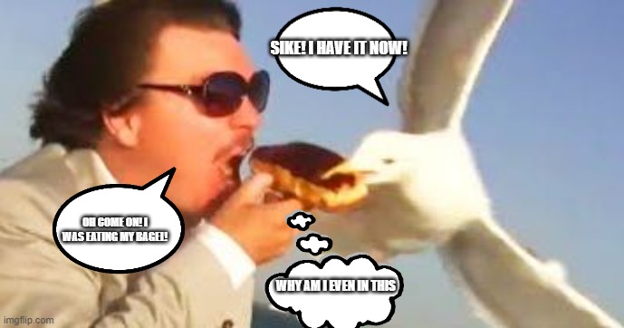 swiping seagull | SIKE! I HAVE IT NOW! OH COME ON! I WAS EATING MY BAGEL! WHY AM I EVEN IN THIS | image tagged in swiping seagull | made w/ Imgflip meme maker