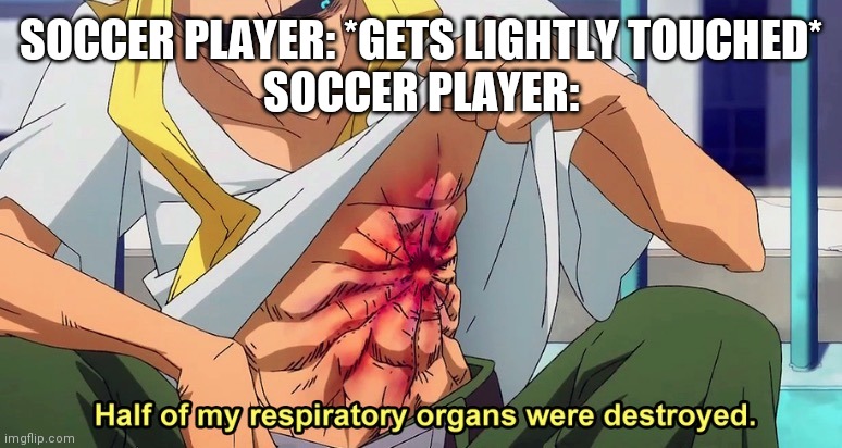 Half of my respiratory organs were destroyed | SOCCER PLAYER: *GETS LIGHTLY TOUCHED*
SOCCER PLAYER: | image tagged in half of my respiratory organs were destroyed | made w/ Imgflip meme maker