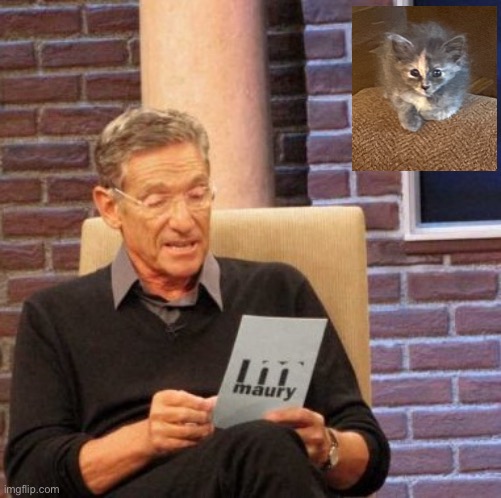 Maury Lie Detector Meme | image tagged in memes,maury lie detector | made w/ Imgflip meme maker