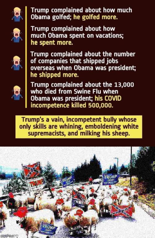 “Milking sheep” one of the greatest expressions to emerge from our fucked-up era | image tagged in donald trump hypocrite,trump sheeple deep-fried 1 | made w/ Imgflip meme maker