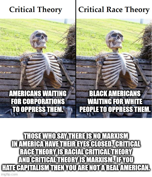 politics critical race theory Memes & GIFs - Imgflip