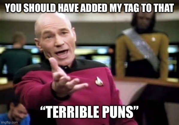 Picard Wtf Meme | YOU SHOULD HAVE ADDED MY TAG TO THAT “TERRIBLE PUNS” | image tagged in memes,picard wtf | made w/ Imgflip meme maker