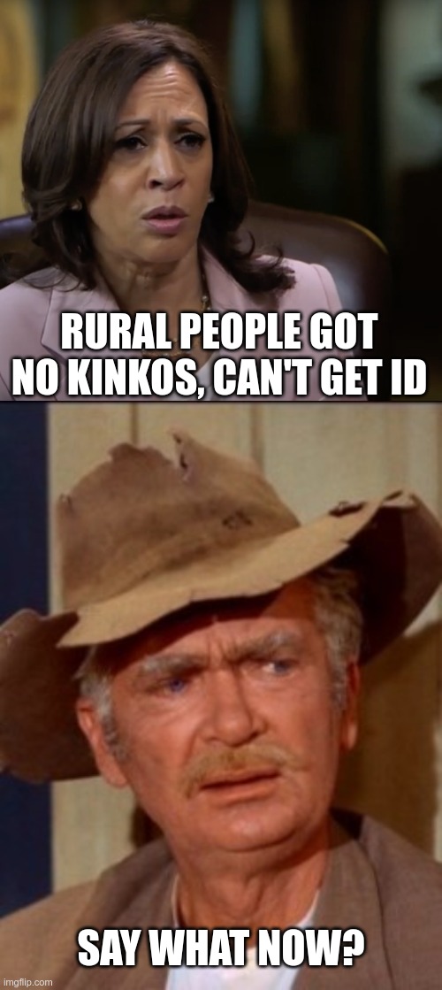 Can't Fix Stupid | RURAL PEOPLE GOT NO KINKOS, CAN'T GET ID; SAY WHAT NOW? | image tagged in kamala harris,corrupt democrats,leftists | made w/ Imgflip meme maker
