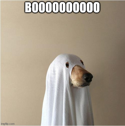 Ghost Doge | BOOOOOOOOOO | image tagged in ghost doge | made w/ Imgflip meme maker