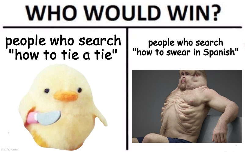 which search is better? | people who search "how to tie a tie"; people who search "how to swear in Spanish" | image tagged in memes,who would win | made w/ Imgflip meme maker